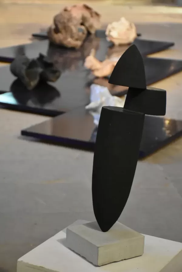 sculptures-felix-valdelievre-vaison-2017-13F5288C09-4FA1-B77F-86A0-ACAEC247229B.webp